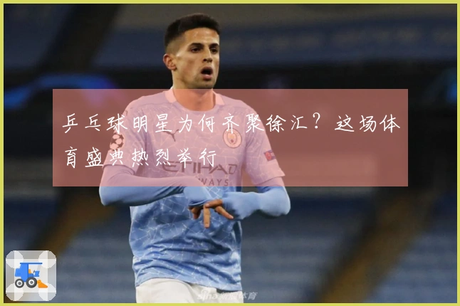 乒乓球明星为何齐聚徐汇？这场体育盛典热烈举行